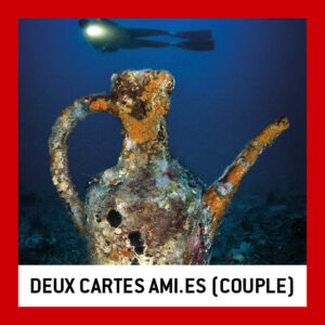 Deux cartes ami.e.s (couple)